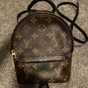 Louis Vuitton Monogram Palm Springs Backpack Mini